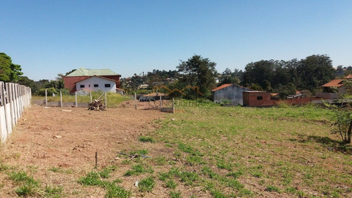 Imagem 2 de 8 de Terreno - Centro - Ref: 2220 - V-4404