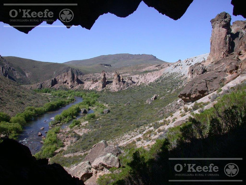 Campo En Venta De 635 Has Bariloche, Costa Del Pichileufu, Rio Negro.