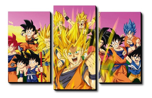 Cuadros Trípticos Dragon Ball