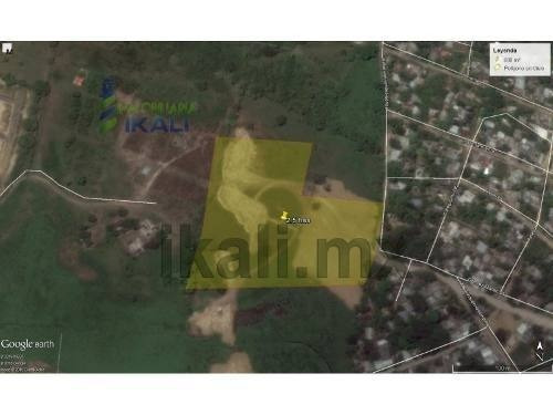 Imagen 13 de 14 de Venta Terreno 2.5 Hectáreas Colonia Ochoa Tuxpan Veracruz, Se Encuentra Ubicado Al Final De La Calle Fernando Gómez Palacios, Son 25000 M², El Tipo De Terreno Es Moderado, La Zona Cuenta Con Todos Lo