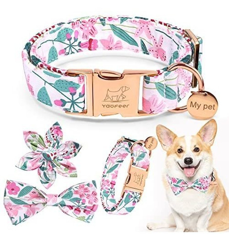 Collar De Perros Femeninos, Collar De Perros De Niña Wbwh8