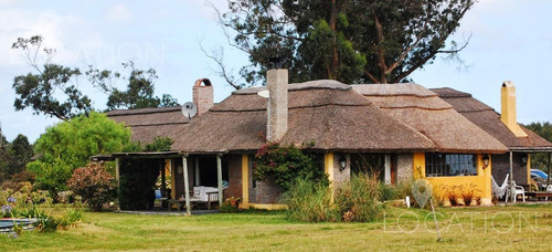 Campo - José Ignacio