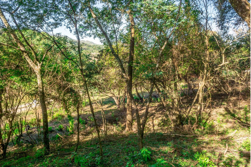 Terreno En Venta Castellanos 4124 M2