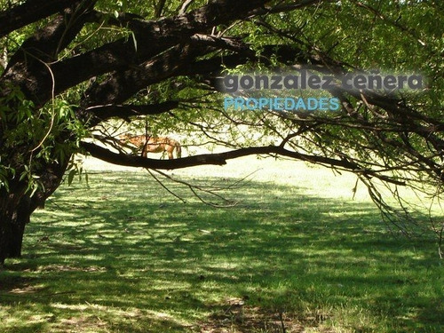 Venta Campo Ingeniero Jacobacci