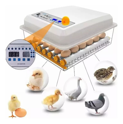Incubadora automática de aves de corral Yunjas 36 huevos 127V