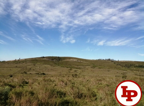 Campo De 13.5 Has Sobre Ruta, 2 Casas, Hermosa Vista