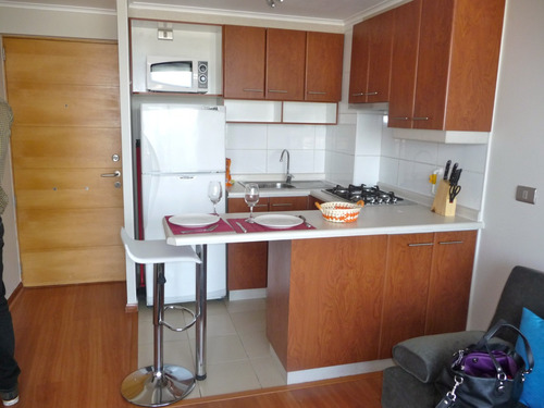 Departamento Amoblado En Arriendo Román Diaz, Providencia