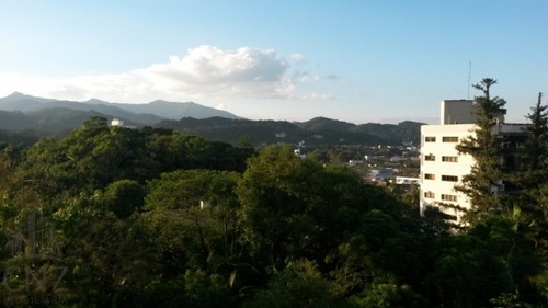Imagem 25 de 26 de Lindo - Amplo - Novo - Ap3 124 - Ap3 124
