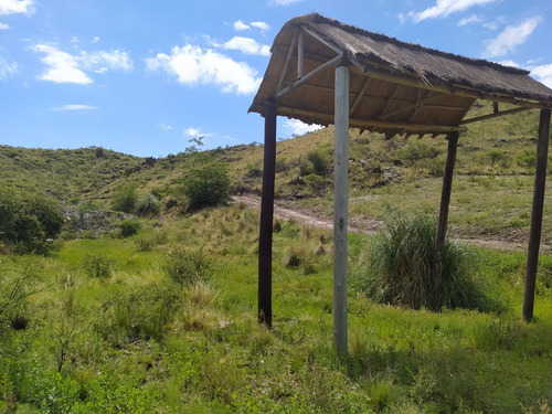 Campos En San Luis - Venta - Compra - Permuta Ofertas Únicas