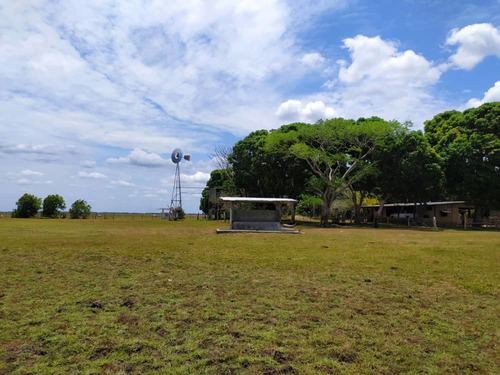 Imagen 9 de 15 de Hato En Venta En Elorza, Apure