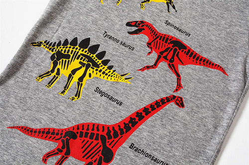 Conjunto De Pijama Con Diseño De Dinosaurio, Pijama, Camiset