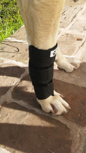 Protector De Carpo Semi Rigido Ortopedia Canina