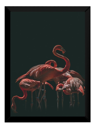  Lindo Presente Quadro Pássaros Flamingo Quarto / Sala P7484