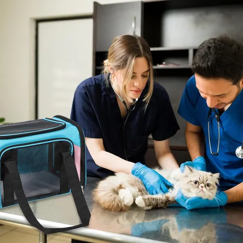 Transportín Para Gatos, Transportín Para Perros, Transportín