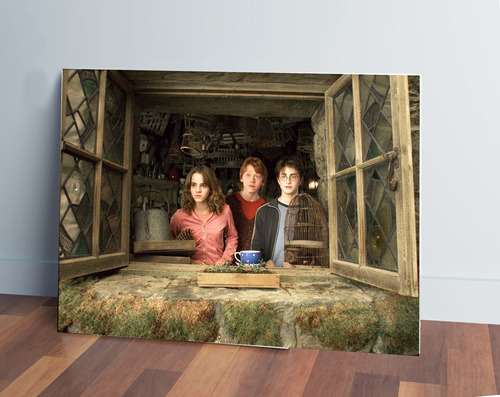 Cuadro Harry Potter Azkaban 25 30x40 Mdf Memoestampados