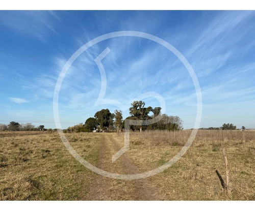 Imagen 3 de 9 de Campo 25 Has Venta Ranchos General Paz