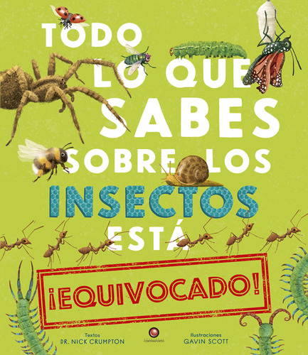 Libro Todo Lo Que Sabes Sobre Los Insectos Esta Equivocado