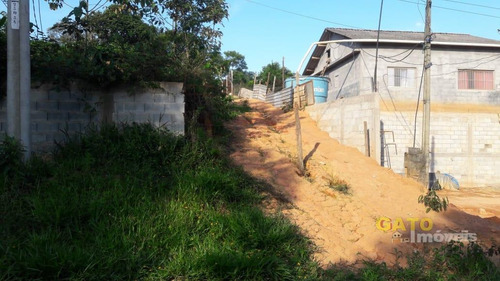 Imagem 3 de 7 de Chácara Para Venda Em Cajamar, Ponunduva - 19704_1-1425256