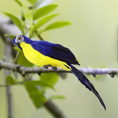 Falso Guacamayo Pájaros Artificiales Pájaro Loro Modelo