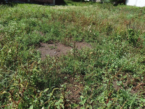 Venta De Terreno...