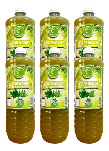 6 Jugo De Maguey Original Clorofila 1l Verde Santo Michoacán