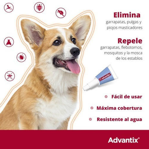 Pipeta de pulgas Advantix de 2,5 ml para cães 10-25 kg Bayer
