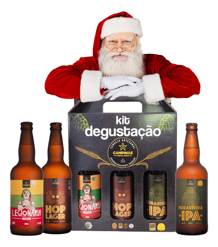 Presente Para Homem Kit De Cervejas Artesanais Premiadas 