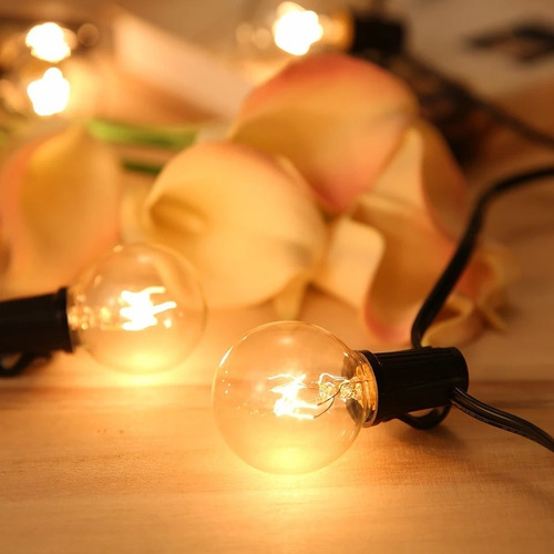 Imagen 2 de 10 de Serie De Luces Vintage Exterior Con 25 Focos G40 5w