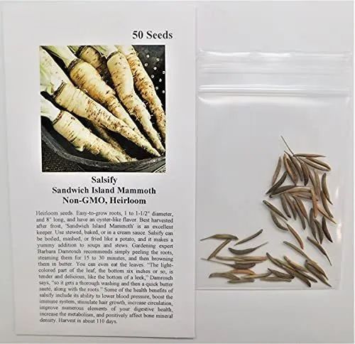 Semillas De Salsifi Sandwich Island Mammoth (blanco) 50 Semi