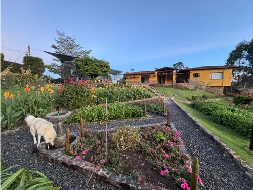 Finca Para La Venta En El Occidente Via San Cristobal