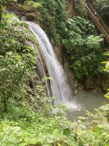 Imagen 3 de 5 de Excurciones / Tours / Costa Norte / Atlantic Side / Rep.dom.