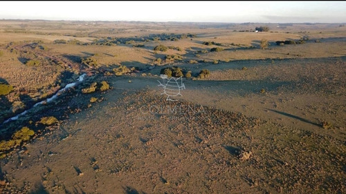 Imagen 15 de 29 de Campo En Jose Ignacio - Jose Ignacio