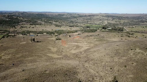 Campo Ganadero Turístico En Maldonado, 86 Has