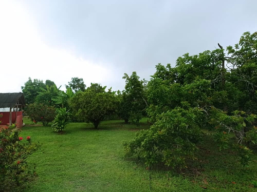Imagen 3 de 12 de Finca En Venta A Orilla De Carretera, Sector Montalbán Sabaneta Bejuma