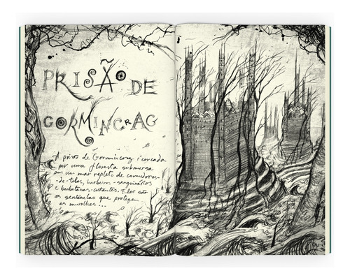 Duas Vezes Magia: Série tempo dos feiticeiros - Vol. 2, de Cowell, Cressida. No tempo dos feiticeiros (2), vol. 2. Editorial Editora Intrínseca Ltda.,Little, Brown Books for Young Readers, capa mole em português, 2021