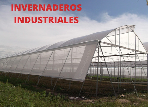 Plástico Invernadero 10 X 50 M Blanco 25% Sombra
