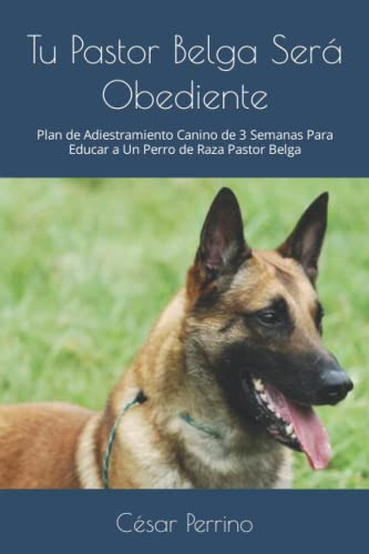 Tu Pastor Belga Sera Obediente: Plan De Adiestramiento Canin