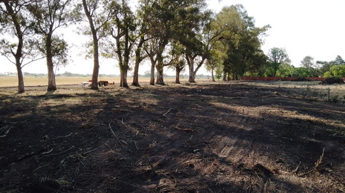 Imagen 1 de 14 de Lotes Terreno En Venta Barrio Frida Kahlo Mariano Acosta Financiados