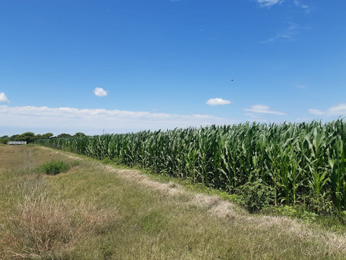 Imagen 23 de 30 de Campo En Córdoba (general Deheza)