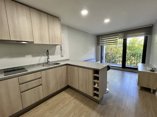 Departamento En Avenida Costanera Y Picarte