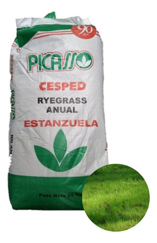 Semillas De Césped Picasso Estanzuela Rye Grass Anual 20kg