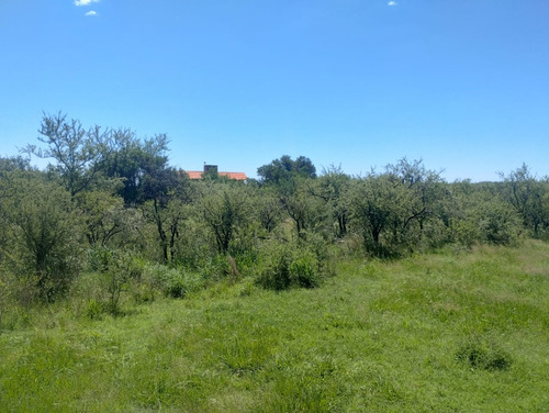 Terreno En Los Molles, Merlo, San Luis De 1600 M²