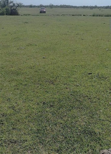 Imagen 3 de 10 de Se Vende Campo De 65 Hectareas En Rosario Del Tala, Entre Rios