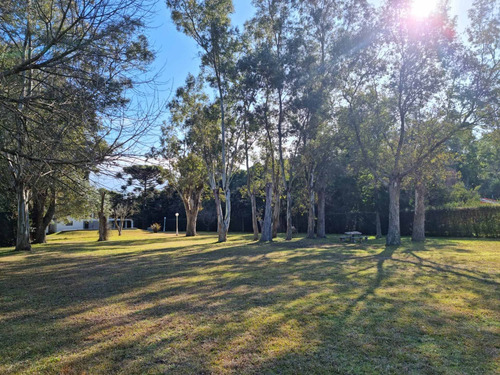 Imagen 13 de 14 de Terreno En Venta 1800m2 Con Excelente Arboleda