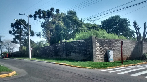 Imagem 2 de 15 de Terreno - Sao Jose - Ref: 46989 - V-46989