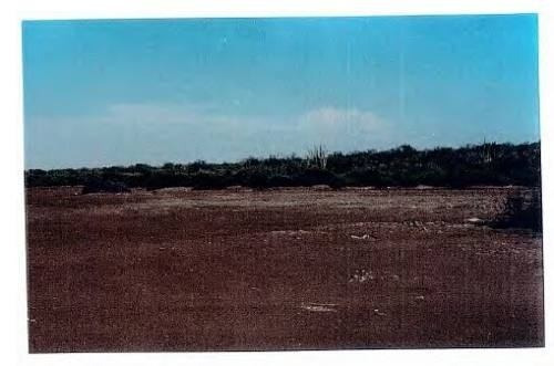 Imagen 4 de 6 de Se Vende Terreno Rustico Cd Obregon