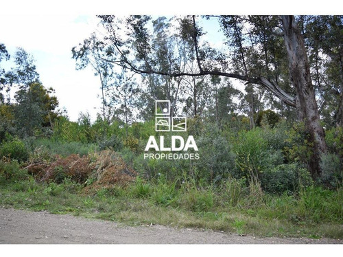 Imagen 5 de 11 de Terreno Punta Colorada Piriápolis Venta Te201488