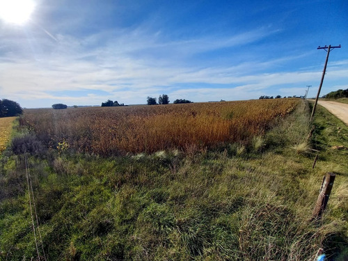 Imagen 7 de 7 de Campo De 62100m2 Agrícolas En Mechongue