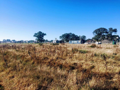 Imagen 3 de 12 de Venta De Lote De Terreno En Brandsen