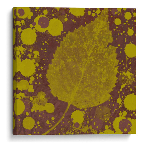 Canvas Lab Cuadro Expresiones De Botánica I 100x100